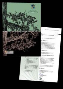 Portfolion Jet Set Graphic Design, Rina Eksteen